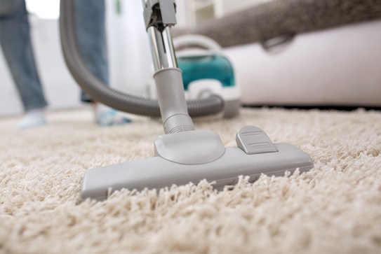 A Few Carpet Cleaning Tips from a Pro!